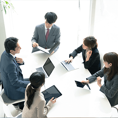 アルバス株式会社 IT コンサルティングサービス